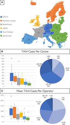 Contemporary European practice in transcatheter aortic valve implantation: results from the 2022 European TAVI Pathway Registry